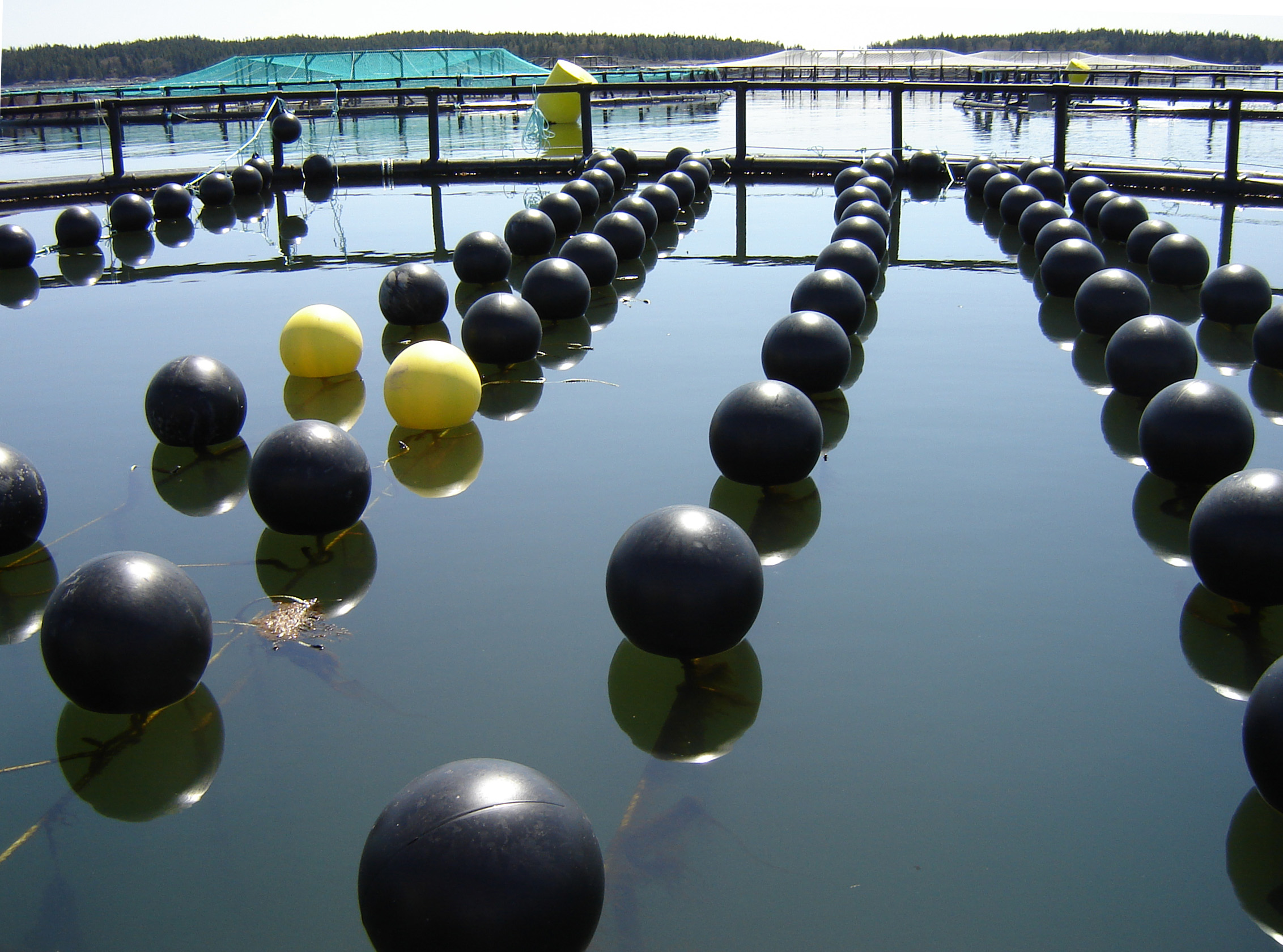  Canadian Aquaculture R D Review 2015